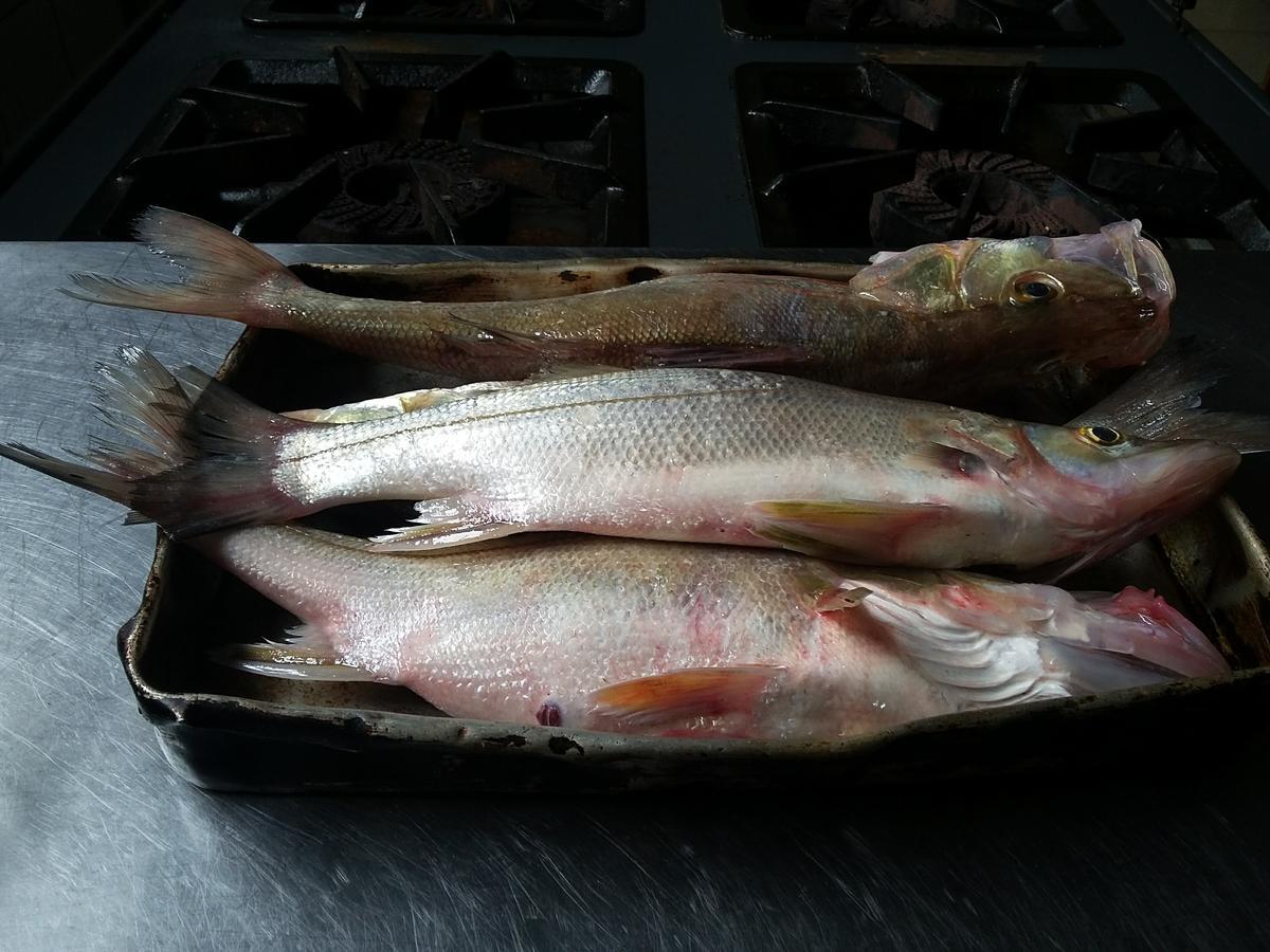 Pousada Chef Brasil Barra Velha  Kültér fotó