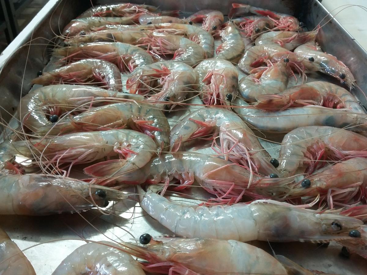 Pousada Chef Brasil Barra Velha  Kültér fotó