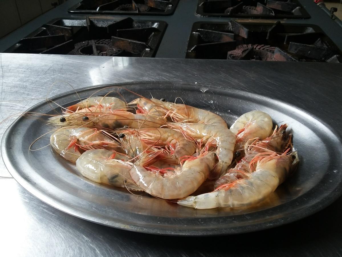 Pousada Chef Brasil Barra Velha  Kültér fotó